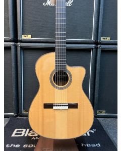 Cordoba Fusion Series 14 Maple Electro-Classical 2020s - Natural