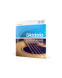 D'Addario EJ16 Phosphor Bronze Light Acoustic Guitar Strings, 12-53