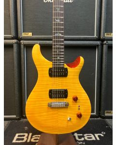 PRS SE Paul's Guitar