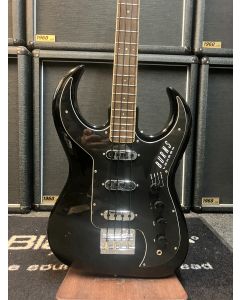 Burns Bison Bass