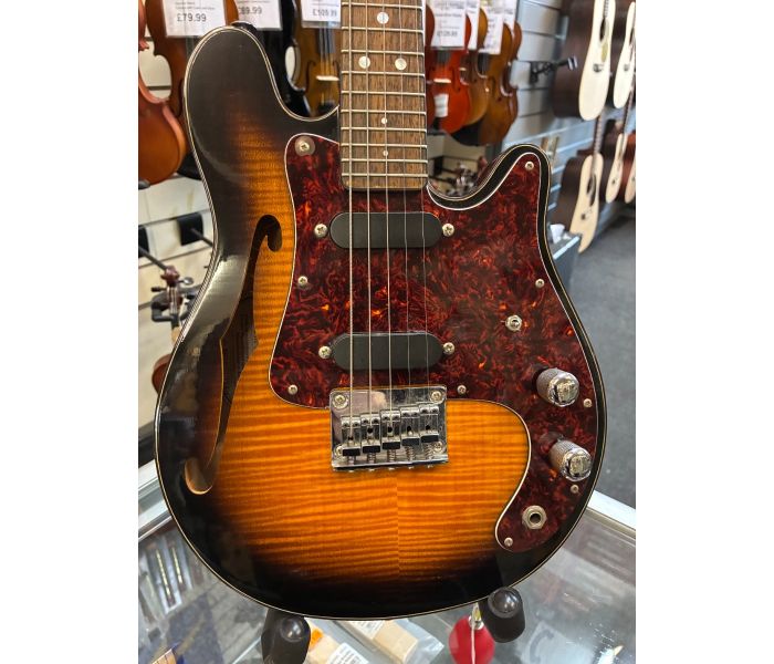 Johnny Roadhouse Music - Fender FM-60E 5 String Electric Mandolin