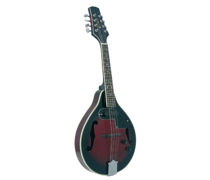 gui1952【英国購入】Blue Moon GR3120 マンドリン Johnny Roadhouse Music - Blue Moon Electro Acoustic Mandolin
