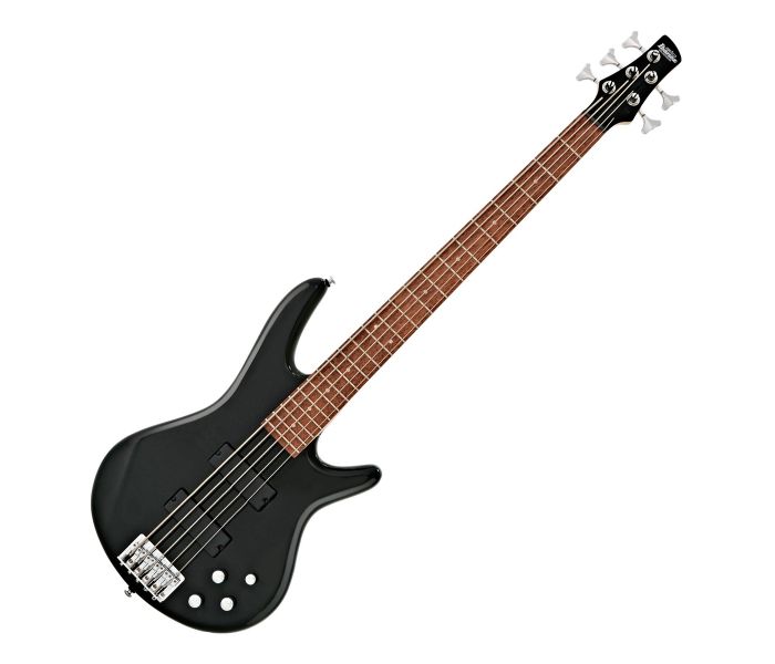 Johnny Roadhouse Music - Ibanez GSR205-BK 5 String Bass
