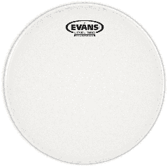 Evans 16" J1 Etched