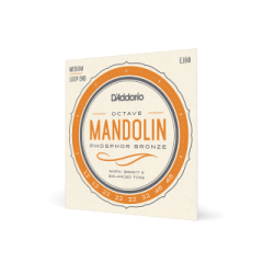 Octave Mandolin