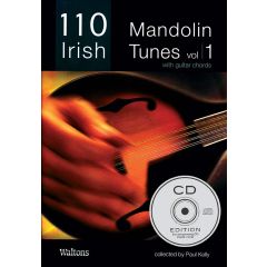 110 Irish Mandolin Tunes Vol 1