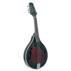 Blue Moon Electro Acoustic Mandolin