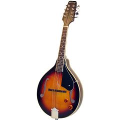 Ashbury A Style Electro Mandolin, S/B