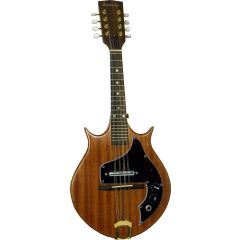 Ashbury Solid Body Electric Mandolin