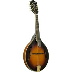 Ashbury A Style Bluegrass Mandolin