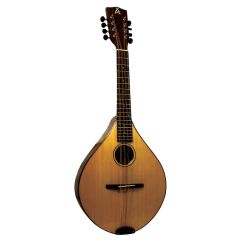 Ashbury Tenor Mandola, Solid Spruce