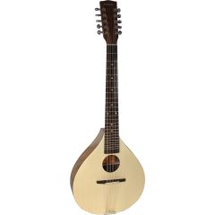 Ashbury 10 String Cittern