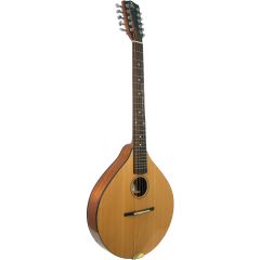 Ashbury Celtic Cittern, 10 string