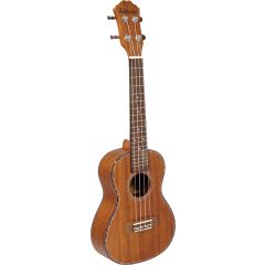 Ashbury Concert Uke, Mahogany