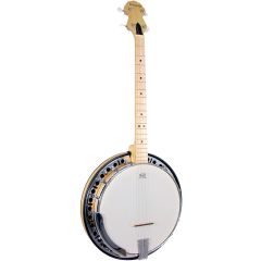 Ashbury Tenor Banjo, 19 Fret, Maple Rim