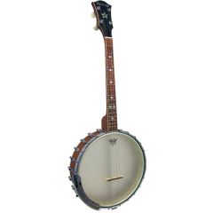 Ashbury Openback Tenor Banjo, 17 Fret