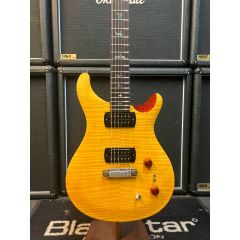 PRS SE Paul's Guitar