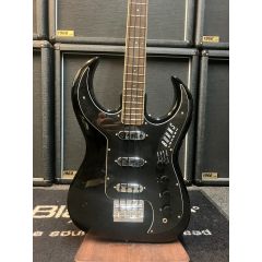 Burns Bison Bass