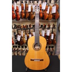 1979 Martin Fleeson Classical Guitar