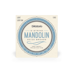 D'Addario EJ62 80/20 Bronze Mandolin Strings, Light, 10-34