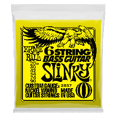 Ernie Ball 6-String Bass strings