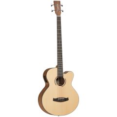 Tanglewood DBT AB BW Discovery Acoustic Bass